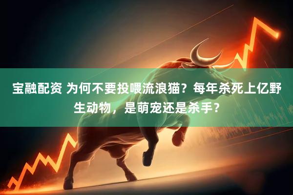宝融配资 为何不要投喂流浪猫？每年杀死上亿野生动物，是萌宠还是杀手？